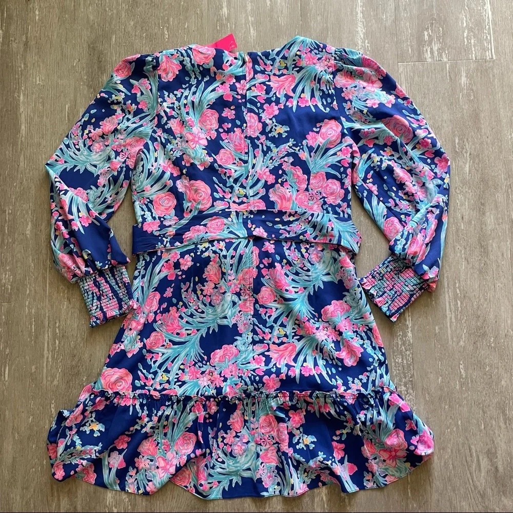 Sold Lilly Pulitzer Rosie Stretch Dress - Toucan Party - Picture 11 of 12